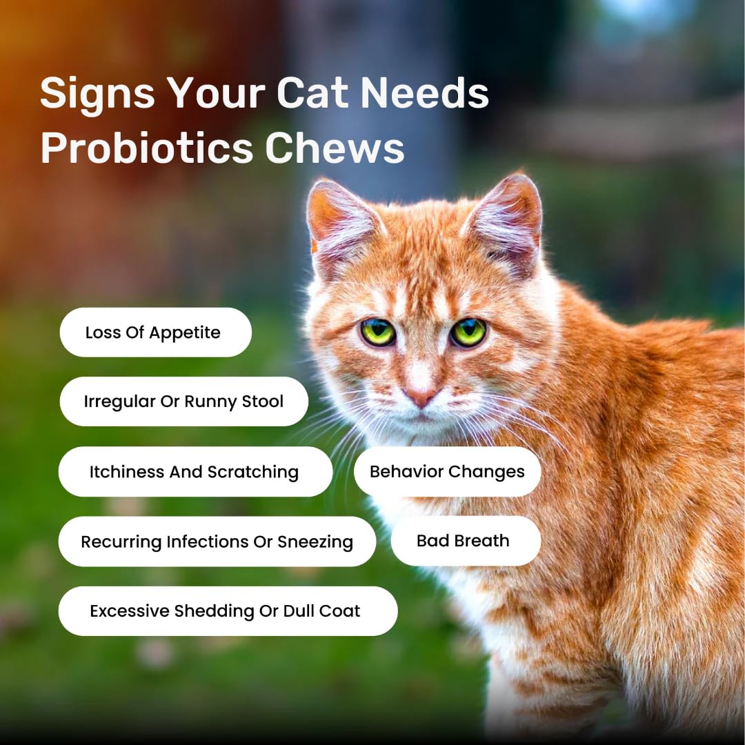Absolut Pet Probiotic Chews for Cats, Gut Health & Itch Relief | 30 Chews | Probiotic support for feline digestion & balanced gut flora; helps reduce scratching, paw-licking & itching in cats.