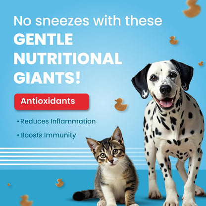 BARK OUT LOUD - Fresh Duck Meat Soft Chews,Dogs & Cats Treats| Grain-Free Hypoallergenic|Low-Fat,High in Fish,& Pea Protein|Prebiotics & Vitamins,Minerals Snacks - 100 gm,All Life Stages,granule