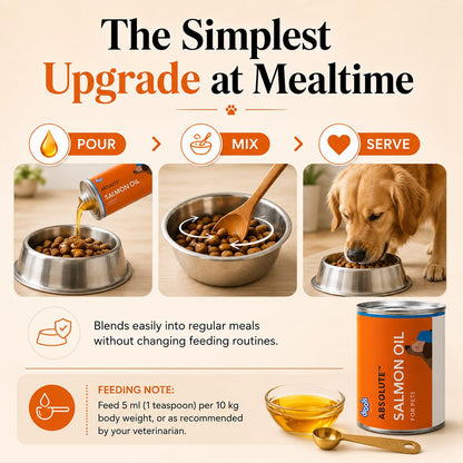 Drools Absolute Dog Supplement Syrup 300ml Jar | Salmon Flavour | All Breeds | Promotes Shiny Coat | Boosts Immunity | Aids Brain Development | Helps Prevent Skin Issues | Maintains Heart Health
