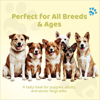 Petoska Chicken & Banana Dog Treats – 100 g Soft, Flavorful Snacks for Puppies & Adult Dogs, Real Chicken & Natural Banana Bite‑Sized Treat