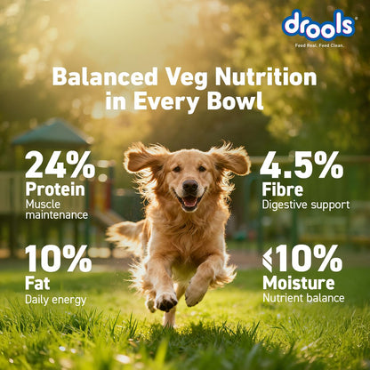 Drools Adult & Puppy Dry Dog Food 1.2 kg Pack | 100% Vegetable Flavour | All Lifestages | Better Digestibility | Strong Bone and Teeth Development | Boosted Immunity