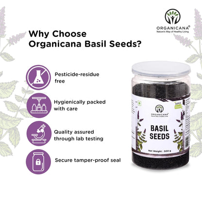 Organicana Basil Seeds 500gm (Pack of 1) Sabja Seeds - Beat the Summer Heat Nutrient-Rich, Pure Basil Seeds For Healthy Drinks, Smoothies, And Recipes Tukmaria Seeds for Weight Management