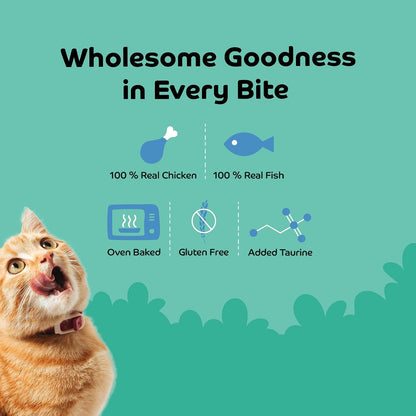 Applod Shrimp with Pumpkin Soft Cat Treats for Kittens & Adult Cats | Made with Real Shrimp | Grain-Free Protein-Rich Snacks with Taurine & No Fillers | 35g