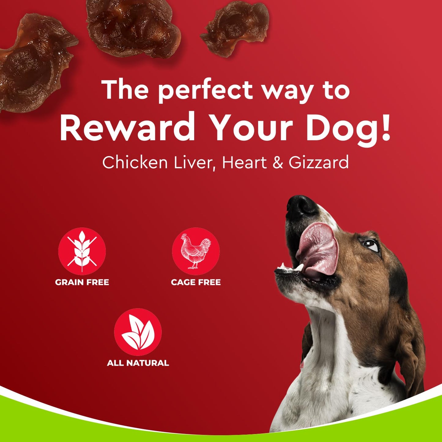 Drools Puppy & Adult Dog Treats Dehydrated Chews Giblets 70g | Real Chicken Flavour | Vital Nutrients | Digestive Health | Protein-Packed | Tasty & Nutritious