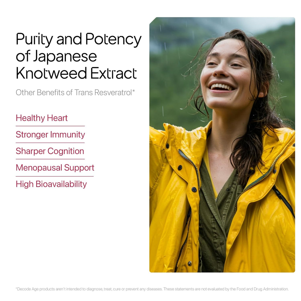 Person in a yellow raincoat with text about Japanese knotweed extract benefits on a white background