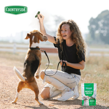 COUNTRYSIDE Dog Dental Chews Treats 250g – Mint Flavor | Brush-Shaped Chews for Dogs, Oral & Gum Care for Dogs | Fights Plaque & Tartar | Freshens Breath | Calcium Enriched & Gluten Free