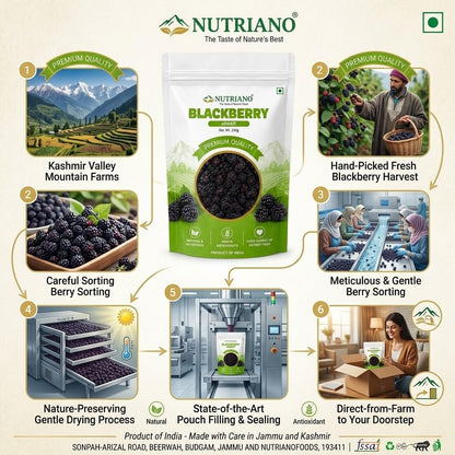 NUTRIANO Premium Dried Blackberries 250g | Whole Natural Dried Blackberry | No Added Sugar | Rich in Dietary Fiber | Healthy Snack for Smoothies, Yogurt, Oatmeal, Baking & Trail Mix