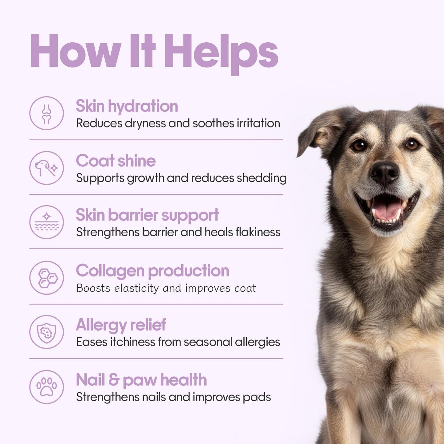 Hope Skin & Coat Supplement for Dogs 60 Chicken hoplets | Pet Chews for Skin Allergies, Itching & Scratching Relief | Biotin, Collagen, Omega 3 & 6 | Cold-Pressed| Hypoallergenic |Honest Pet Co