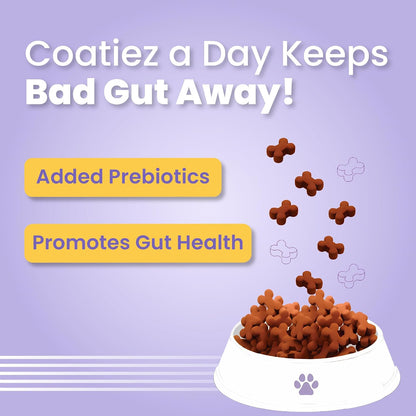 BARK OUT LOUD - Coatiez Soft Chews DogTreats | Fresh Chicken, No Sugar | -Salmon Oil Omega Fatty Acids | Prebiotics, Vitamins & Minerals - 100 GMS