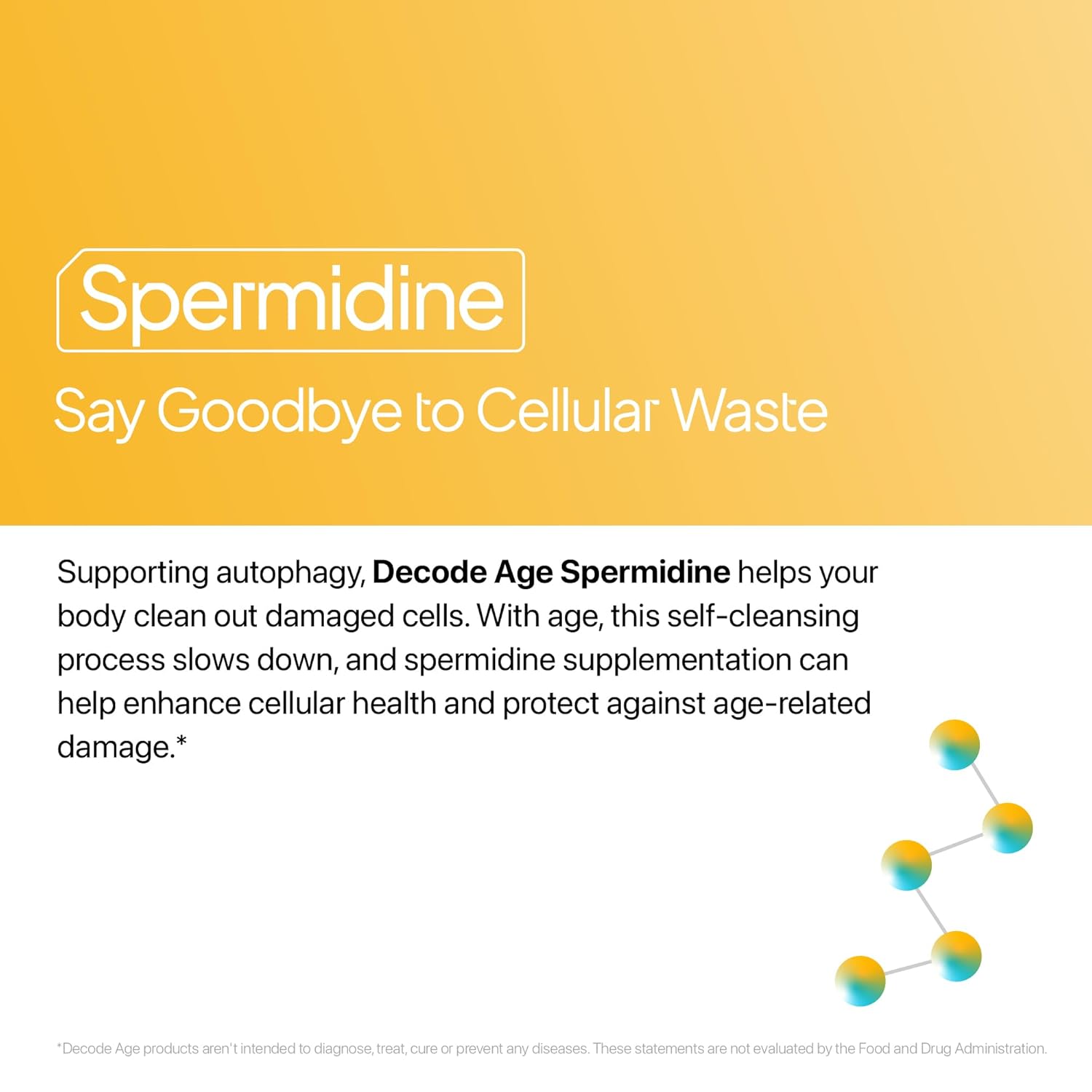 Advertisement for Spermidine with text about cellular waste and autophagy on a yellow background.