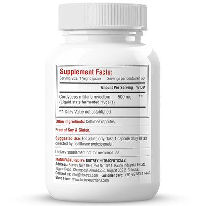 Biotrex Nutraceuticals Cordyceps 500mg | Endurance & Energy Booster | Supports Immune Function | Healthy Brain Function | Overall Wellbeing | 60 Veg Capsules