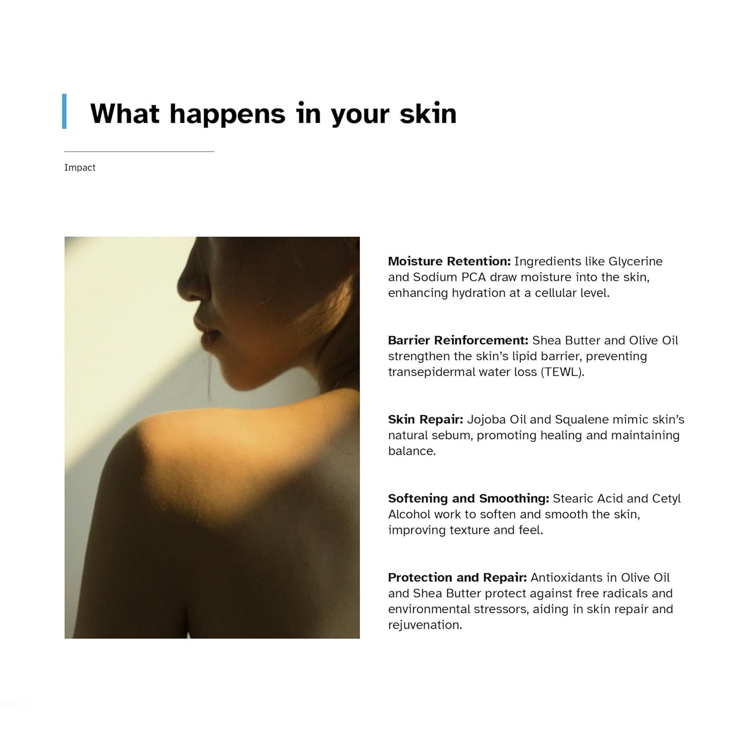 M Intense Moisturizing Face Cream With Shea Butter, Olive Oil & Jojoba Oil For 24 Hour Moisture Surge & Hydration | Suitable For All Skin Types (70gm)