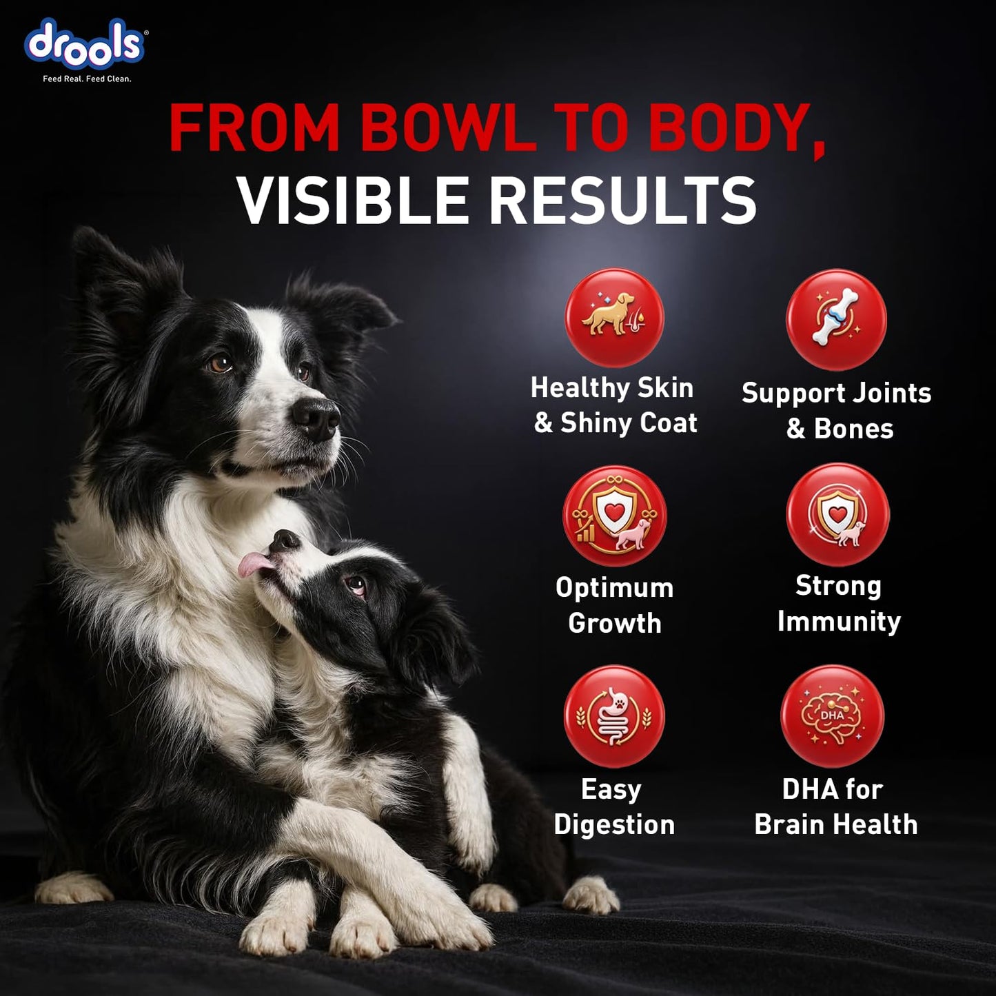Drools Focus Starter Super Premium Dry Dog Food 1.2kg Pack | Chicken Flavour | Brain Development | Antioxidants like Vitamin E & C | Energy and Essential Nutrients