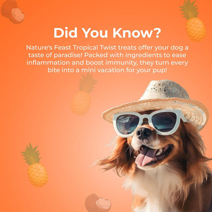 Pawfect Nature's Feast Tropical Twist Freeze-Dried Chicken Treats for Dogs - 80% Chicken, 20% Tropical Fruits & Veggies - 100% Natural - Grain-Free, High Protein Training Treats (50g/1.76oz)