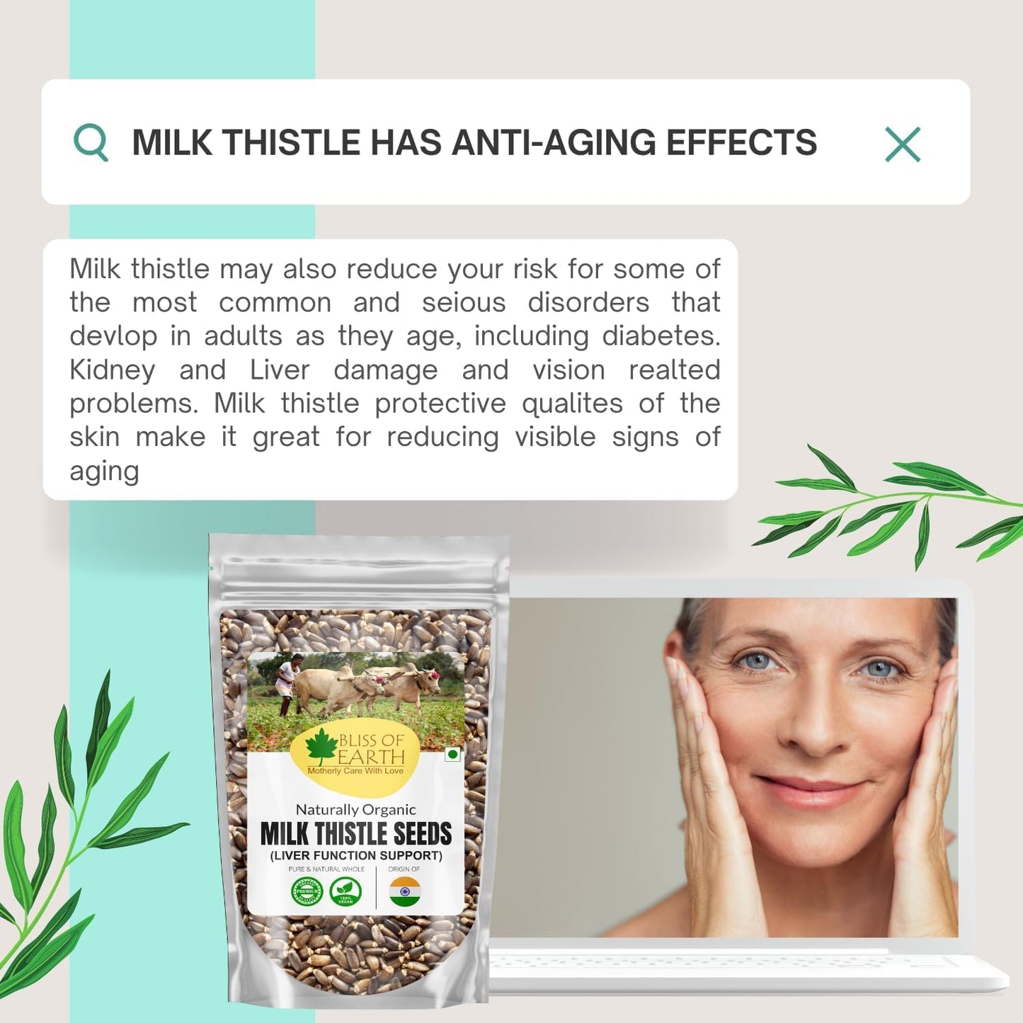 Bliss of Earth Milk Thistle Seeds Organic Super Food Great for Guts Health & Boost Immunity | Promotes Skin Health | High in Protein | 100GM