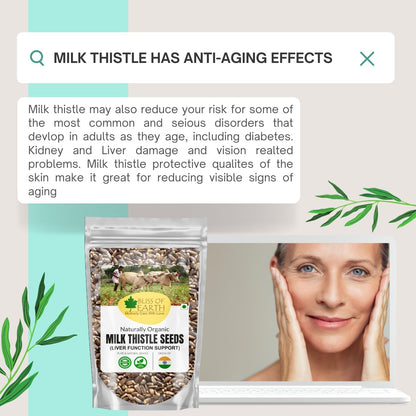 Bliss of Earth Milk Thistle Seeds Organic Super Food Great for Guts Health & Boost Immunity | Promotes Skin Health | High in Protein | 100GM