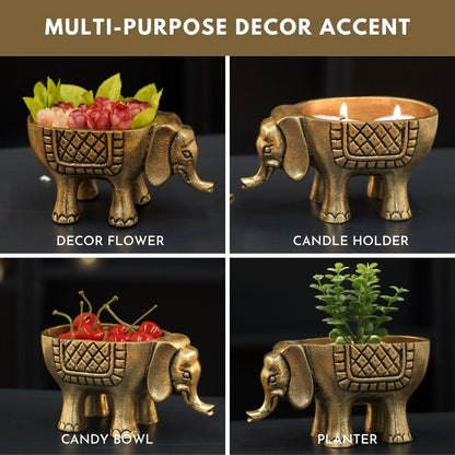 BEHOMA Metal Elephant for Good Luck, Golden - Set of 2