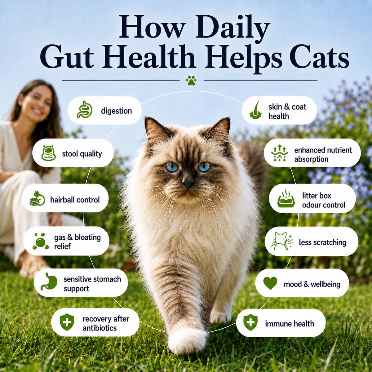 Whisker and Wilde Cat Gut Health Supplement | Targeted Gut Health Support | 6 Billion CFU Probiotics for Loose Stools, Vomiting, Gas and Paw Licking | L-Methionine for Urinary Health | 300g