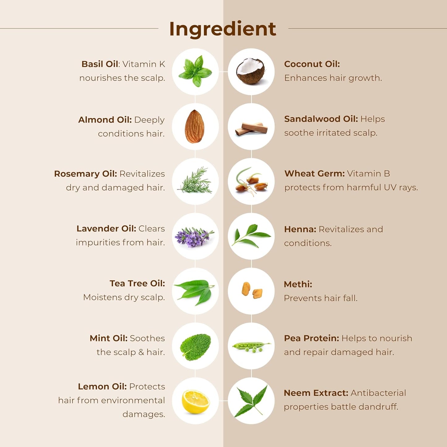 Chart of hair care ingredients with icons and descriptions on a beige background