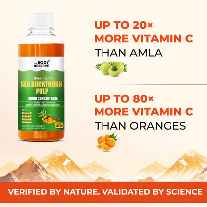 Body Reserve Sea Buckthorn Pulp Liquid Concentrate bottle with vitamin C claims on a mountainous background