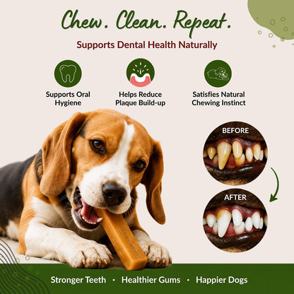 HYE Pets Goat Milk Dog Chews, Rawhide Free Long Lasting Natural Chew Treats, High Protein & Calcium Rich, Easily Digestible Dental Chews, Medium - 2 Chews