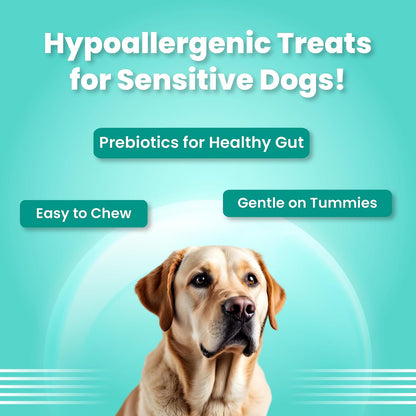 BARK OUT LOUD - Mini Fishes Dog Treats | Hypoallergenic/Grain-Free | Soft Chews with Biotin | Salmon, Peas & Aromatic Herbs | Protein-Packed Snacks for Adult Dogs (100g)