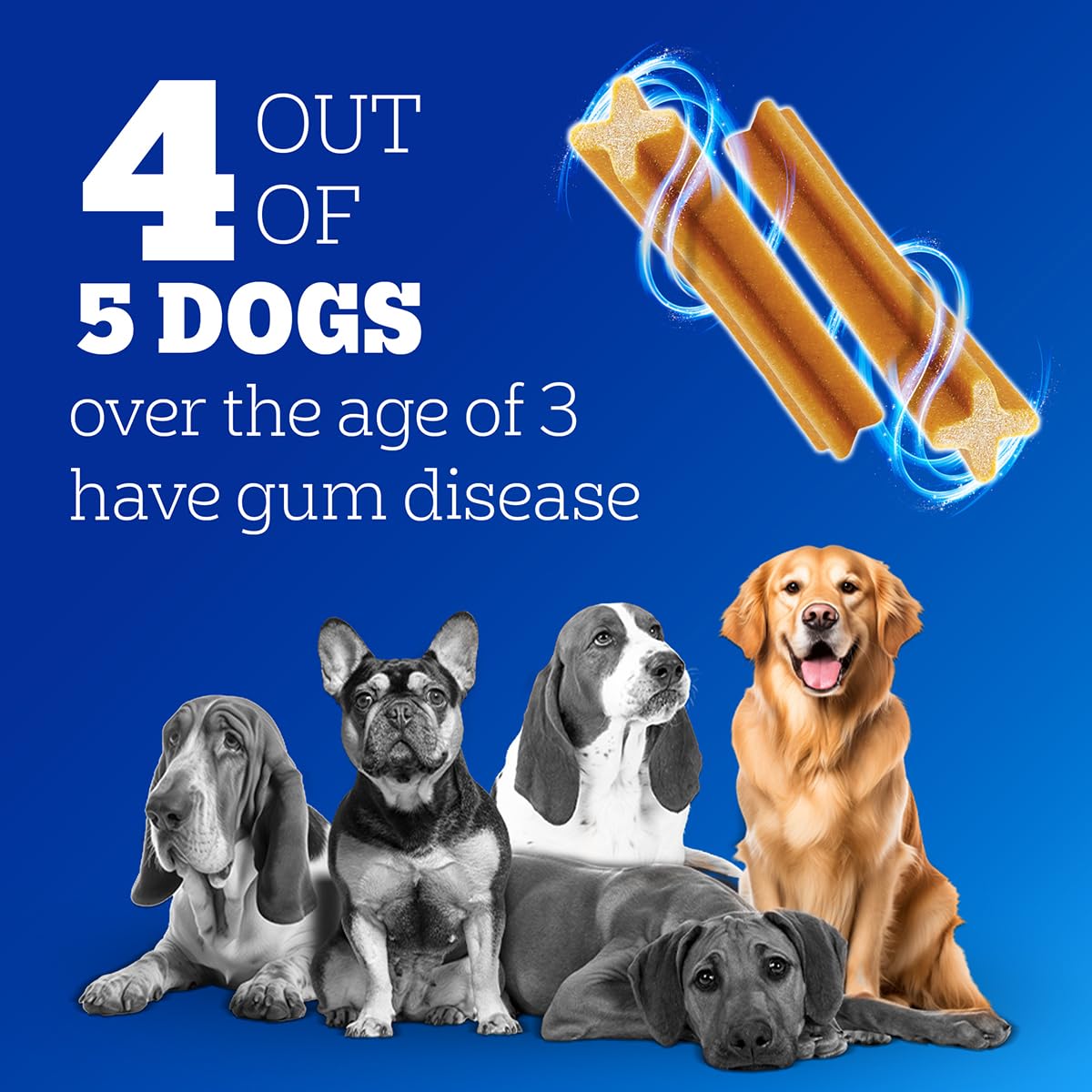 Pedigree Dentastix Oral Care Dog Treat, Adult Medium Breed (10-25 kg), 180 g, Recommended by Vets, Supports Gum Health, Reduces Risk of Gum diseases