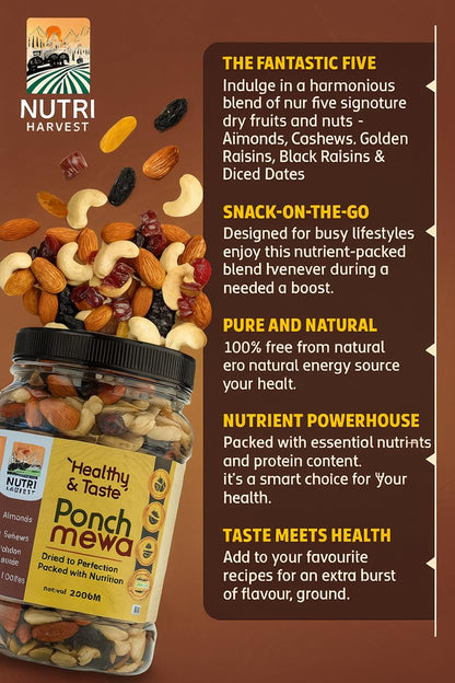 NUTRI HARVEST Premium Dry Fruits Mix pack (Panch Mewa Mix), Natural Blend of Almonds, Cashews,Black and green Raisins and diced Dates| Fit for Fasting 250 gram| (Re-sealable pack for freshness)