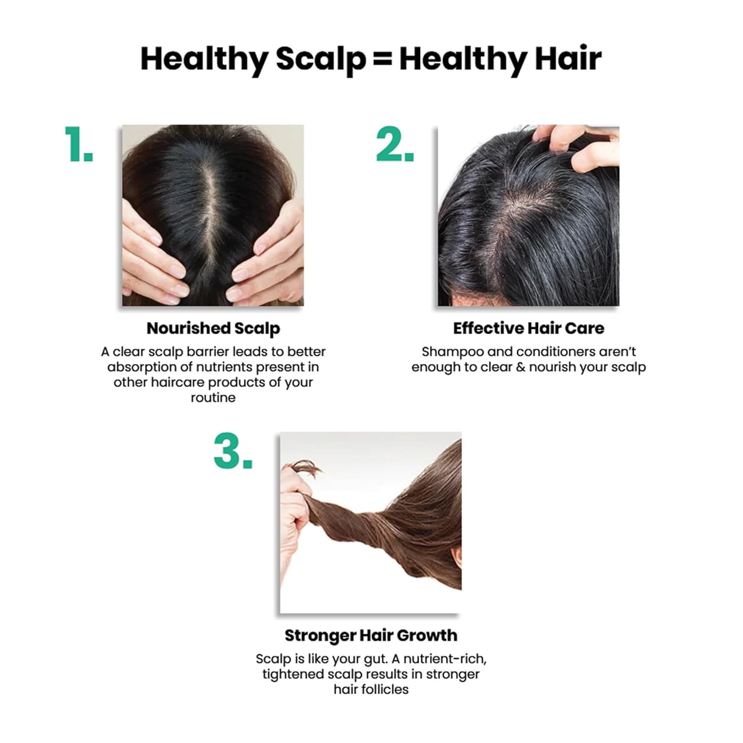 Diagram showing the relationship between a healthy scalp and healthy hair, with images of scalps and hair.