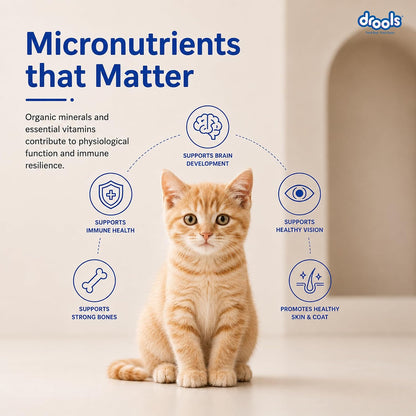 Drools Kitten Dry Cat Food 1.2kg | Ocean Fish Flavour | Promotes Soft Skin & Shiny Coat | Complete Nutrition | Supports Digestion | Aids Growth Development