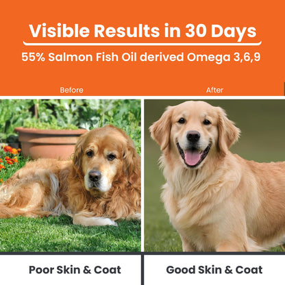 LICKICIOUS Skin & Coat Syrup for Dogs & Cats 200 ml | 55% Salmon Fish Oil, Omega 3 6 9 | Shinier Coat, Itch & Allergy Control | Improves Skin & Hair Health | Nutritional Supplement/Tonic for Pets