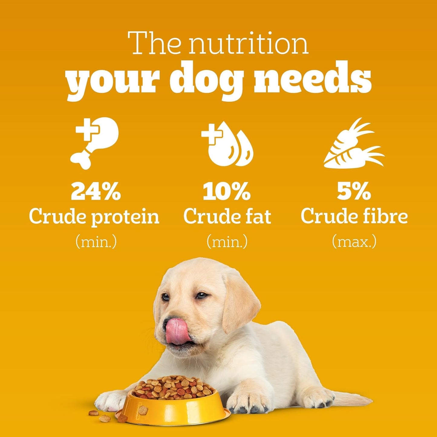 Pedigree Puppy Dry Dog Food, Chicken & Milk, 1 kg, Contains 37 Essential Nutrients, 100% Complete & Balanced Food for Puppies