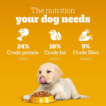 Pedigree Puppy Dry Dog Food, Chicken & Milk, 1 kg, Contains 37 Essential Nutrients, 100% Complete & Balanced Food for Puppies