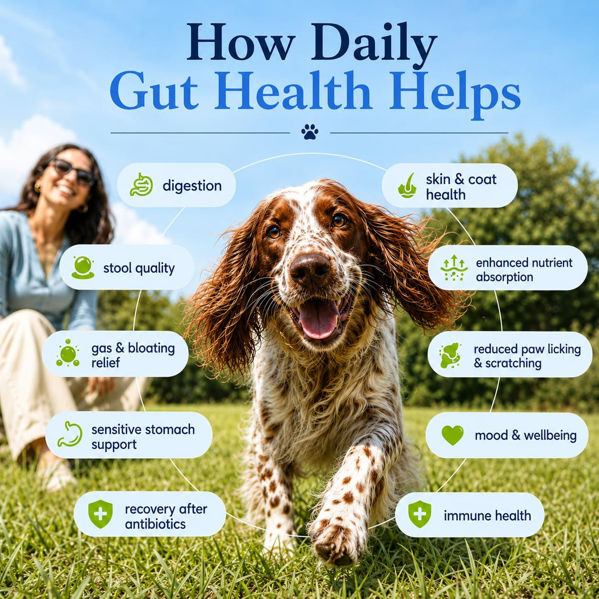 Whisker and Wilde Dog Gut Health Supplement Powder | 6 Billion CFU Probiotics for Paw Licking, Loose Stools, Gas and Itching | with Prebiotics, Digestive Enzymes and Omega-3 | 300g, 30 Daily Scoops