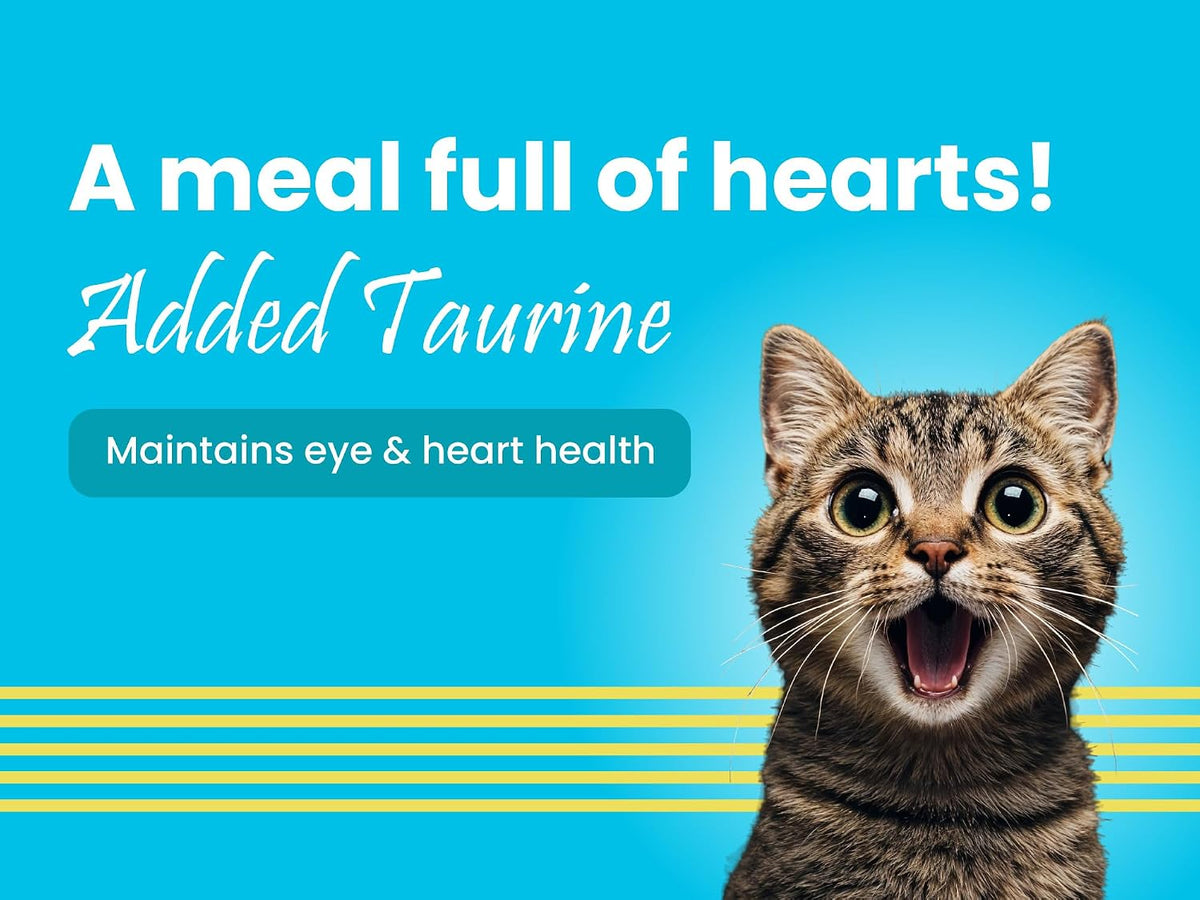 BARK OUT LOUD- Mackerel & Duck Wet Cat Food | Grain-Free Chunks in Gravy | Salmon Oil, Pumpkin & Taurine | All Breeds 85g (Pack of 1)