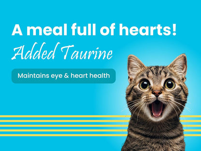 BARK OUT LOUD- Mackerel & Duck Wet Cat Food | Grain-Free Chunks in Gravy | Salmon Oil, Pumpkin & Taurine | All Breeds 85g (Pack of 1)