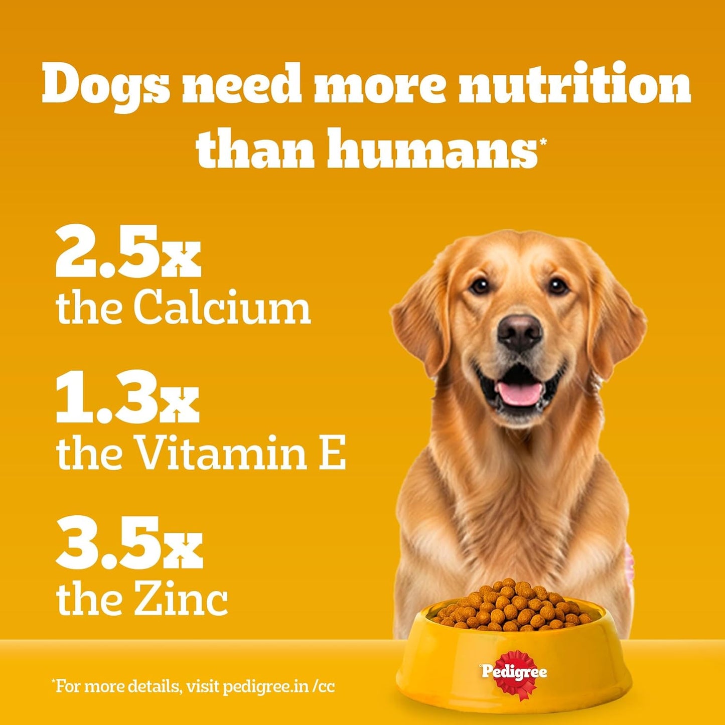 Pedigree Adult Dry Dog Food, Chicken & Vegetables, 1 kg, Contains 37 Essential Nutrients, 100% Complete & Balanced Food for Adult Dogs