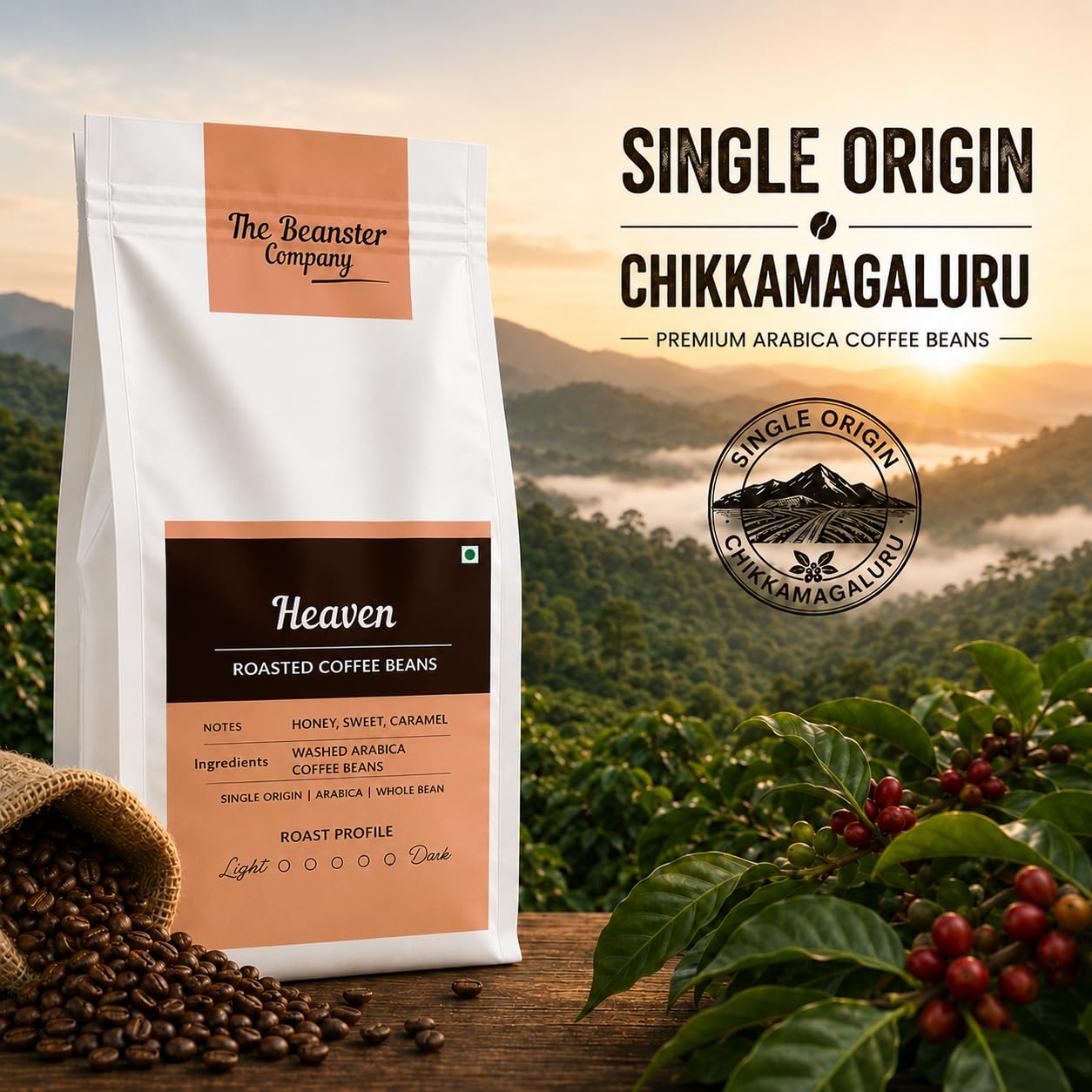 Beanster Heaven Roasted Coffee Beans, Medium Dark Roast