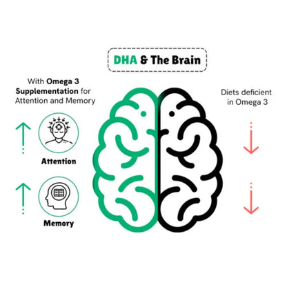 Little Joys DHA Brain Health Gummies For Kids | 2-6 years | 60 Day Pack | Improved Concentration, Mood & Sleep | Packed With 8 Vitamins & Minerals | Multivitamin Gummies For Kids With No Added Sugar