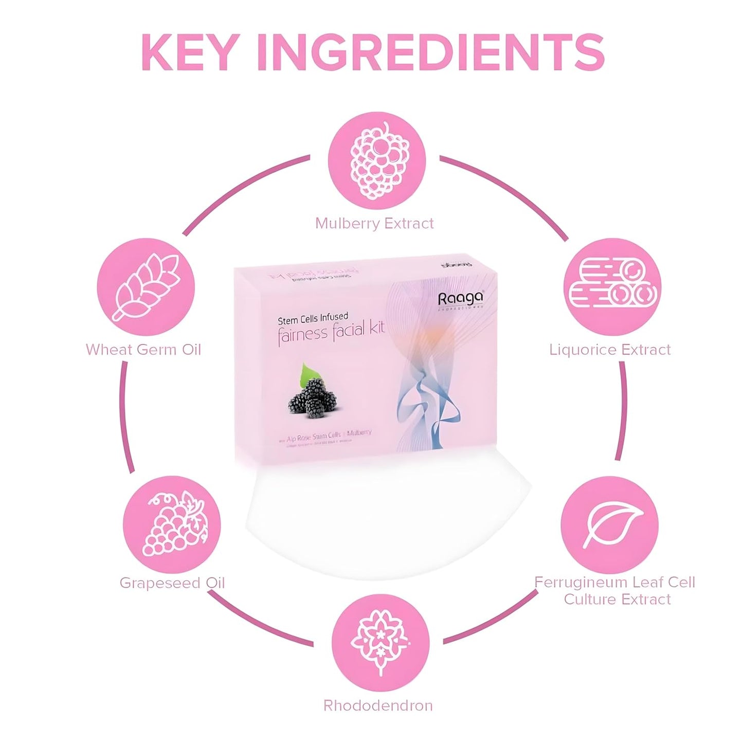 Raaga Professional Fairness Facial Kit | Infused with Alp Rose Stem Cells & Mulberry | Instant Glow & Skin Brightening | 61g