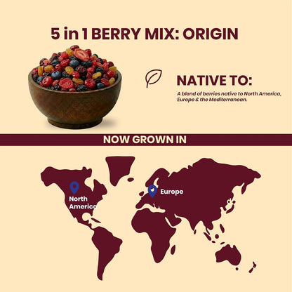 Livyor 5 in 1 Berry Mix for eating - 1kg | Good Source of Fibre | Dried Cranberries | Black Raisins | Cherries | Blueberries | Strawberries | Berry Blast | Berries dry fruits | Berries fresh | Pack of 1