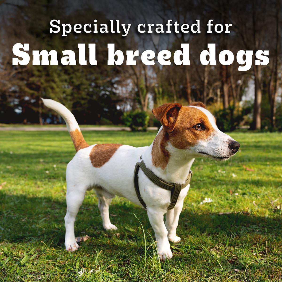 Pedigree PRO Adult Small Breed, 1.2 kg Dry Dog Food, Vet Trusted Brand, Expert Nutrition, Quality Protein, 33% More Nutrients (9 Months Onwards)
