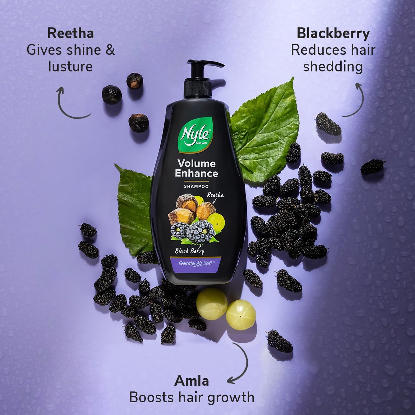 Nyle Naturals Volume Enhance Shampoo |For Voluminous Hair |With Reetha, Blackberry & Amla |Gentle & Soft Shampoo For Men & Women, 400ml