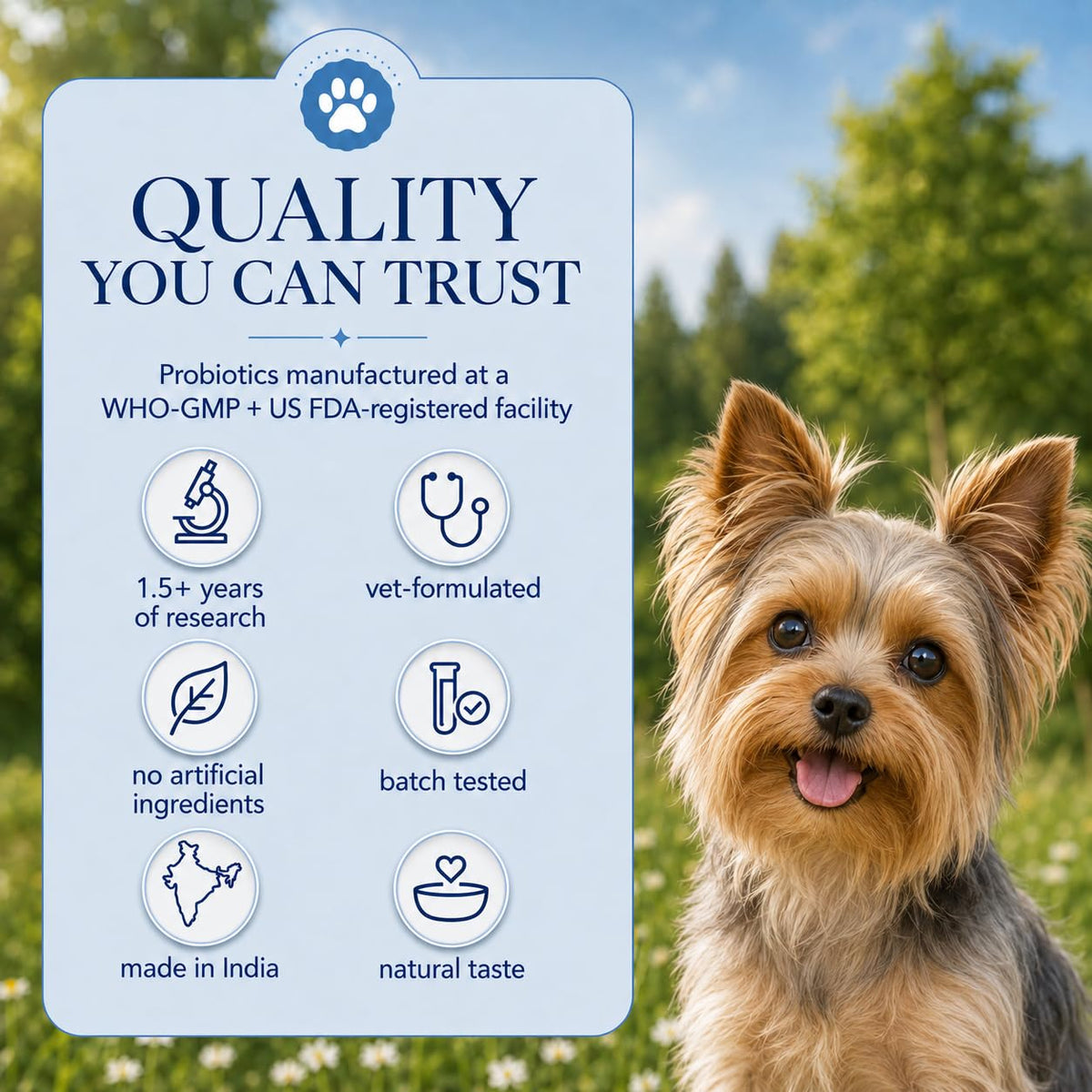 Whisker and Wilde Dog Gut Health Supplement Powder | 6 Billion CFU Probiotics for Paw Licking, Loose Stools, Gas and Itching | with Prebiotics, Digestive Enzymes and Omega-3 | 300g, 30 Daily Scoops