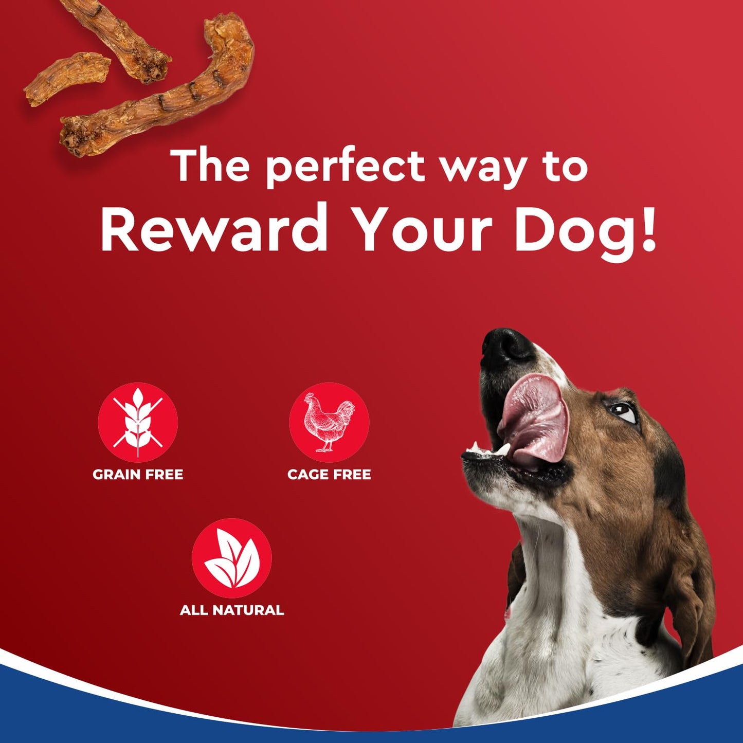 Drools Dog Treats, Dehydrated Real Chicken Chews Necks, 70g, All Life Stages, Bone