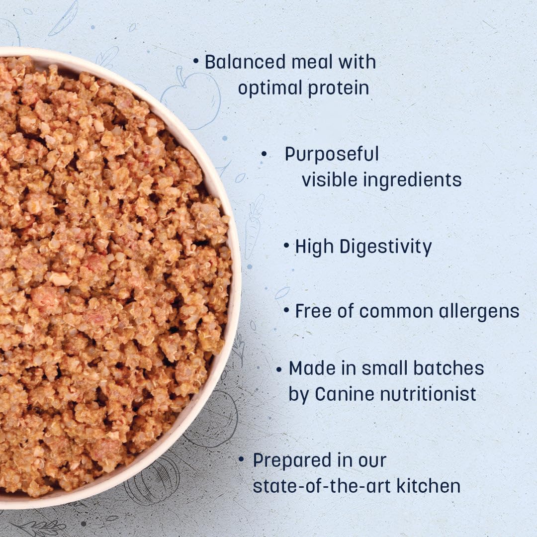 Sara's Wholesome by HUFT Duck & Quinoa – 300 gm | Wet Dog Food | Natural Hypoallergenic Recipe with Added Vitamins & Minerals | Gluten Free | Vet Approved | All Life Stages