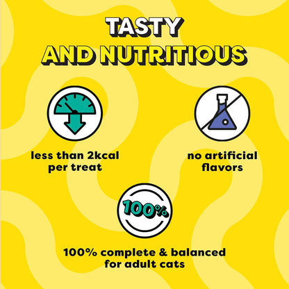 Temptations Crunchy Cat Treats, Tasty Chicken Flavour, 85 g, Goodness of Protein, Vitamins & Minerals, Soft Inside Crunchy Outside