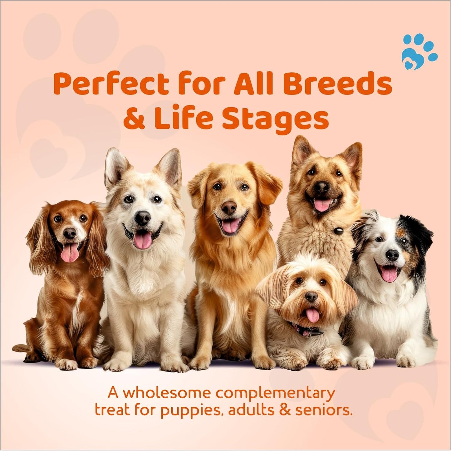 Petoska Chicken & Carrot Dog Biscuits for Small, Medium & Large Breeds | 500g Jar| Real Chicken & Carrot Treats | Crunchy Dog Food Biscuits | High Protein, Slow-Baked, Fresh & Safe