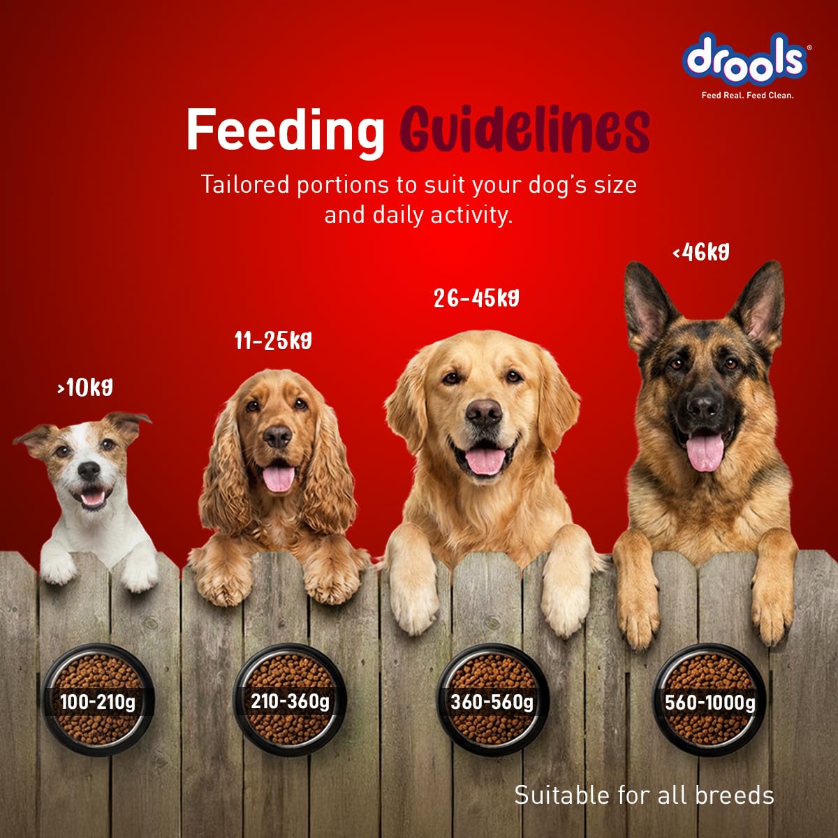 Drools Adult Dry Dog Food 1kg | Lamb and Rice Flavour | Supports Skin Nourishment and Coat Radiance | Promotes Healthy Digestion | Natural Antioxidants | Strengthen Immunity