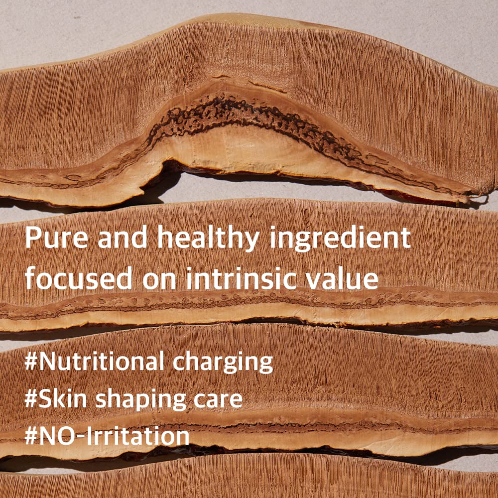 Mixsoon Reishi Mushroom Essence – Barrier Strengthening and Anti-Aging Essence 100ml